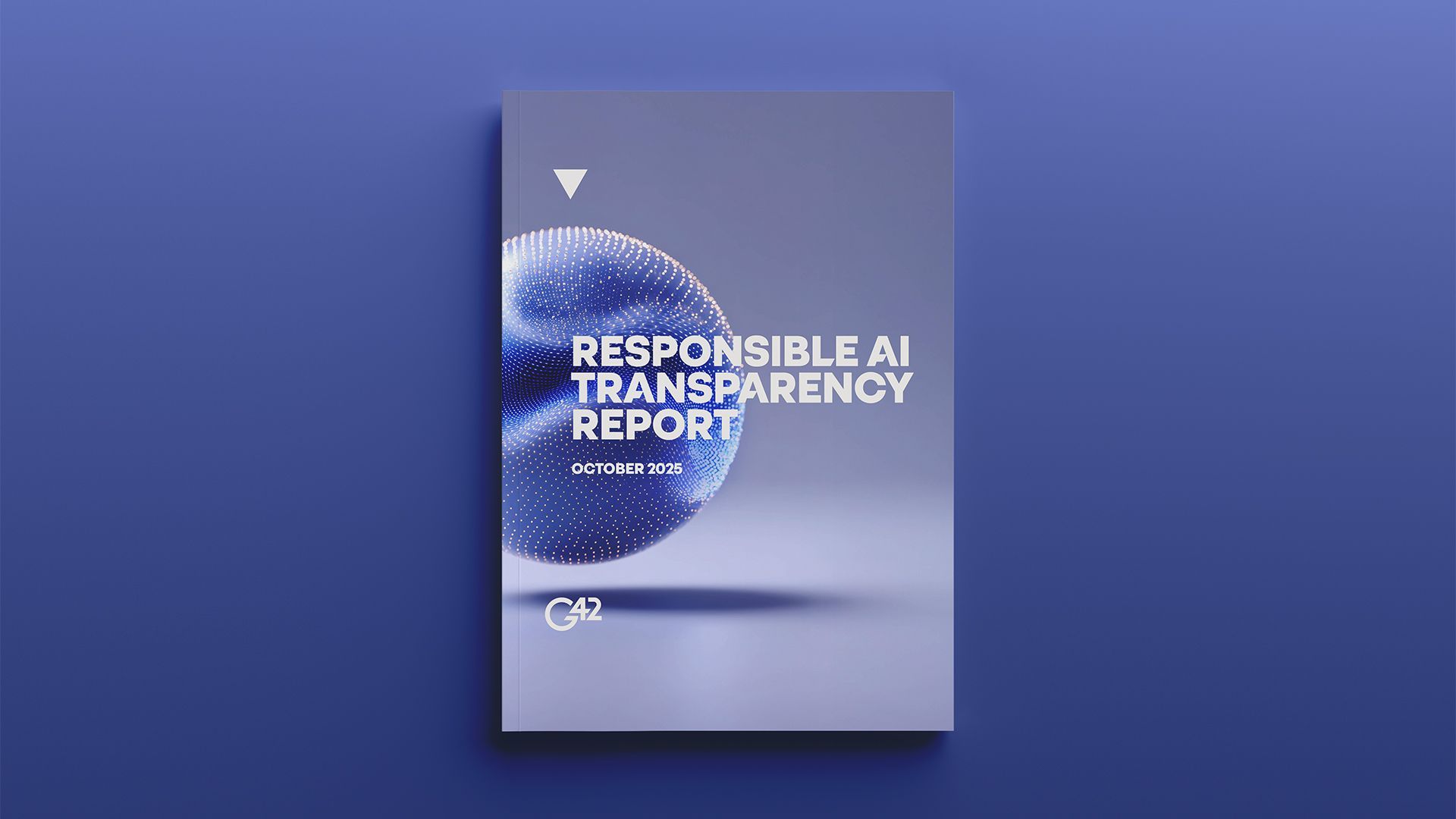 Responsible AI Transparency Report