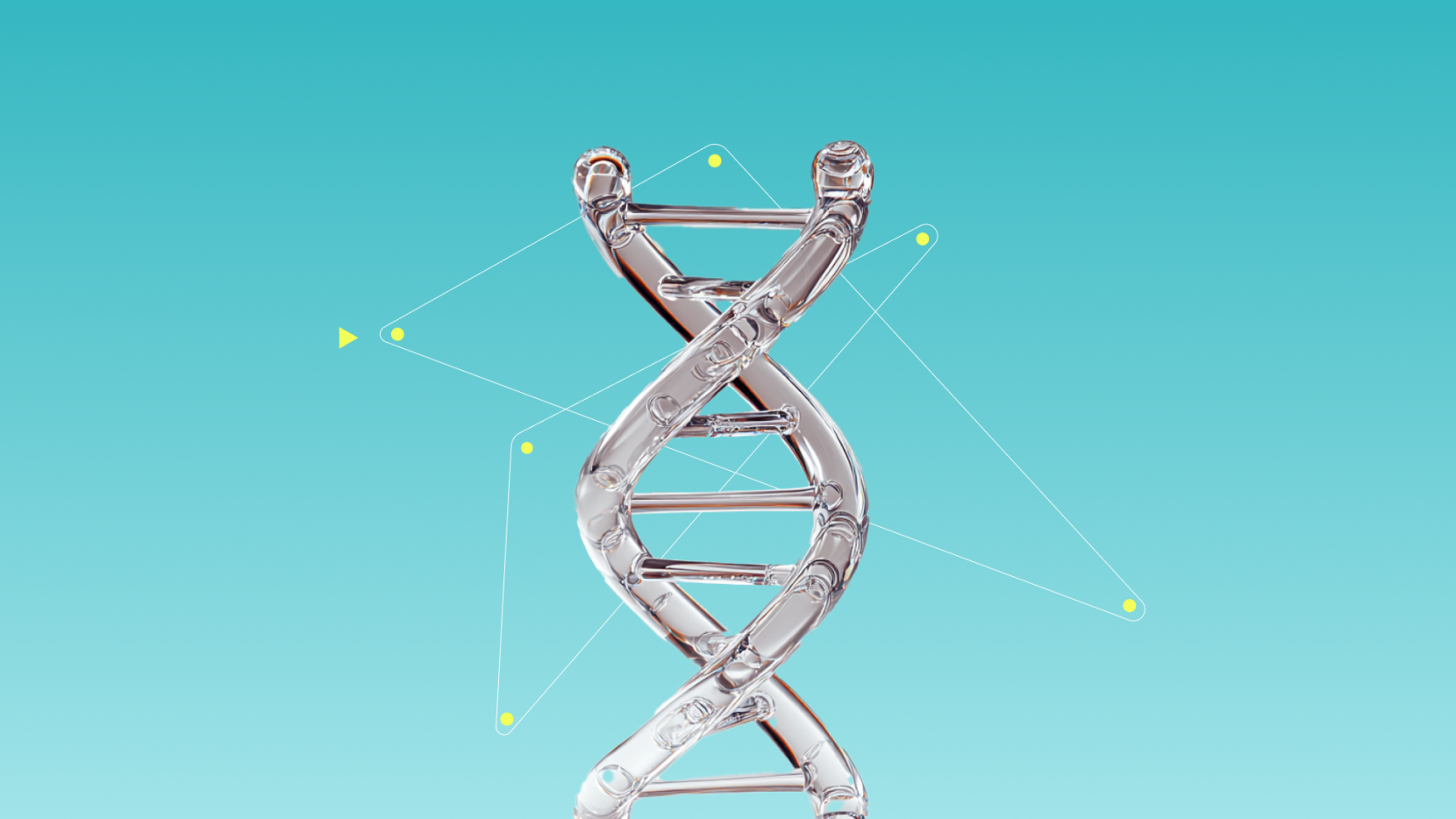 Healthcare & Life Sciences